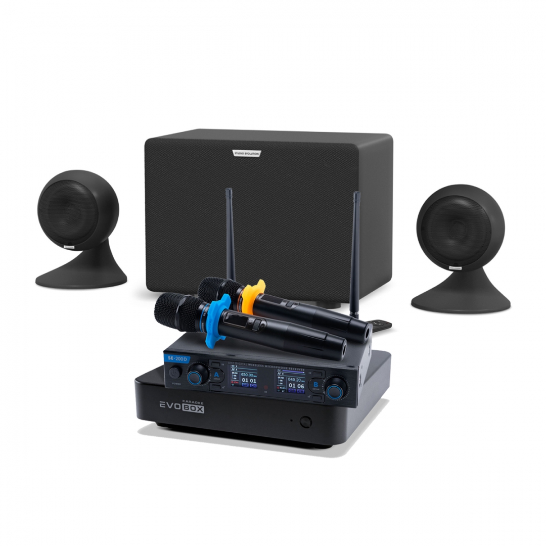 караоке-комплект EVOBOX + EvoSound Sphere 2.1 в Бодайбо