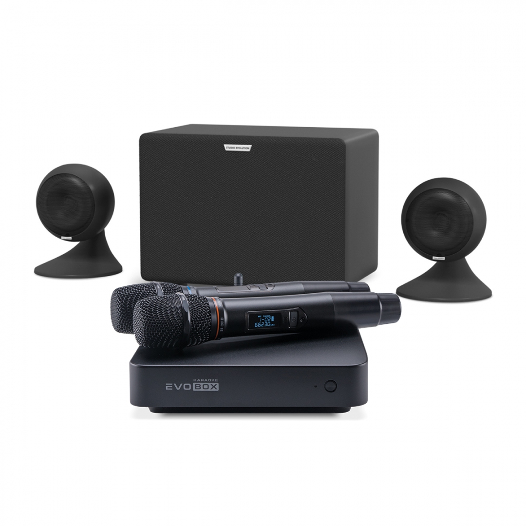 караоке-комплект EVOBOX Plus + EvoSound Sphere 2.1 в Бодайбо