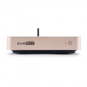 EVOBOX Plus караоке-система для дома в Бодайбо